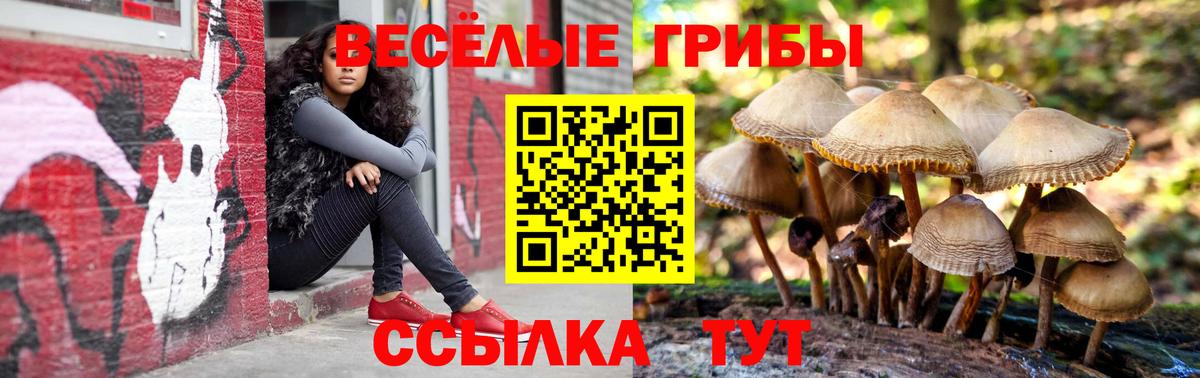 Канабис Дзержинск