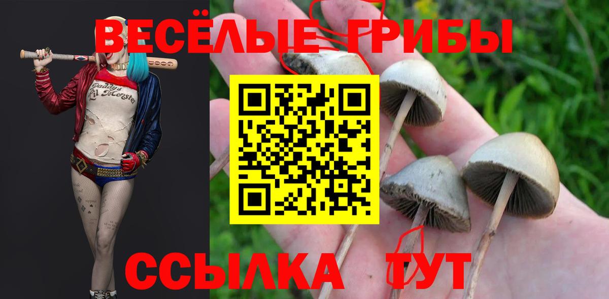 Галлюциногенные грибы ЛСД  Вход с VPN  Дзержинск 